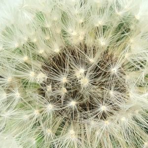 Meet your Posher, Jillian